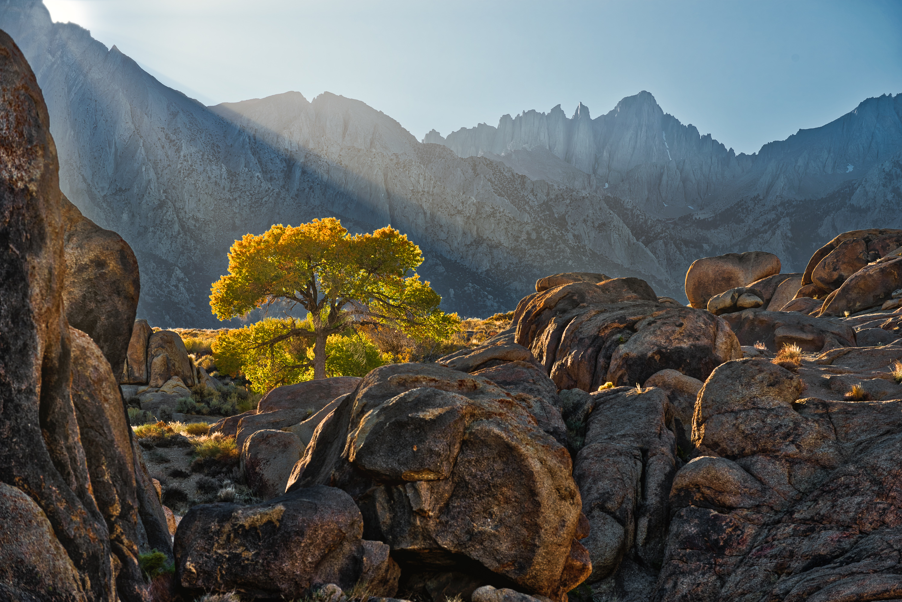 Photograph © Bryan Jolley